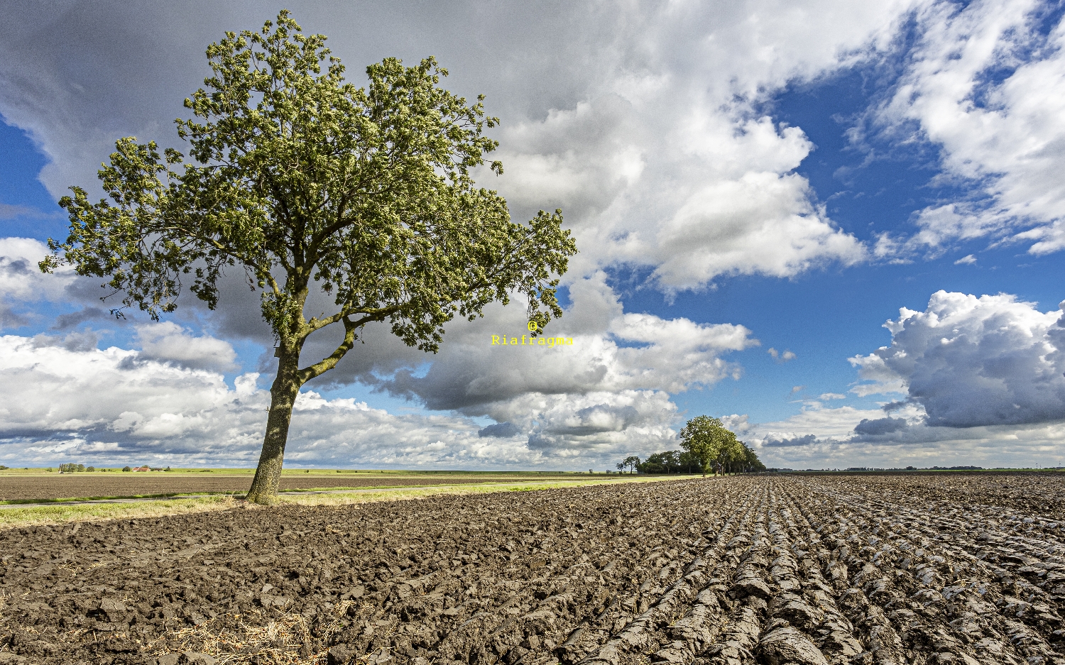 Landschap