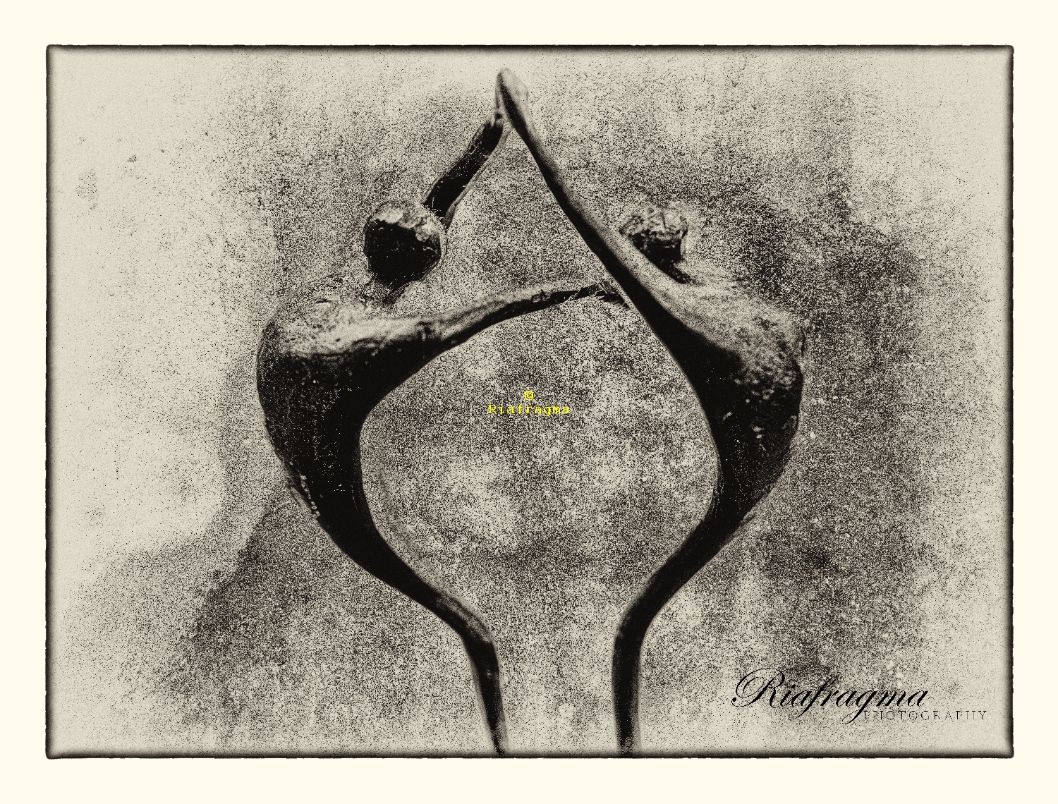 Symbolic shapes