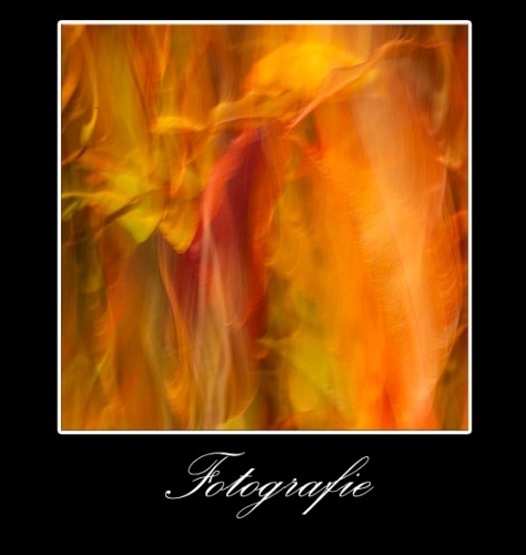 Logo Riafragm